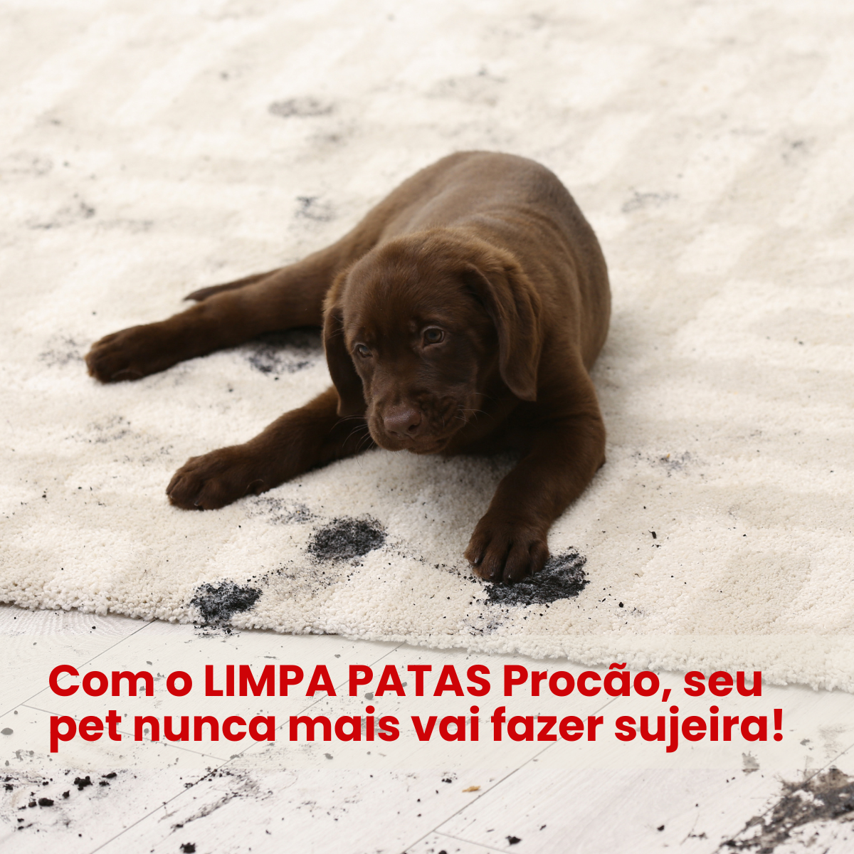 LIMPA PATAS COM ESCOVA - 150 ML - Imagem 3