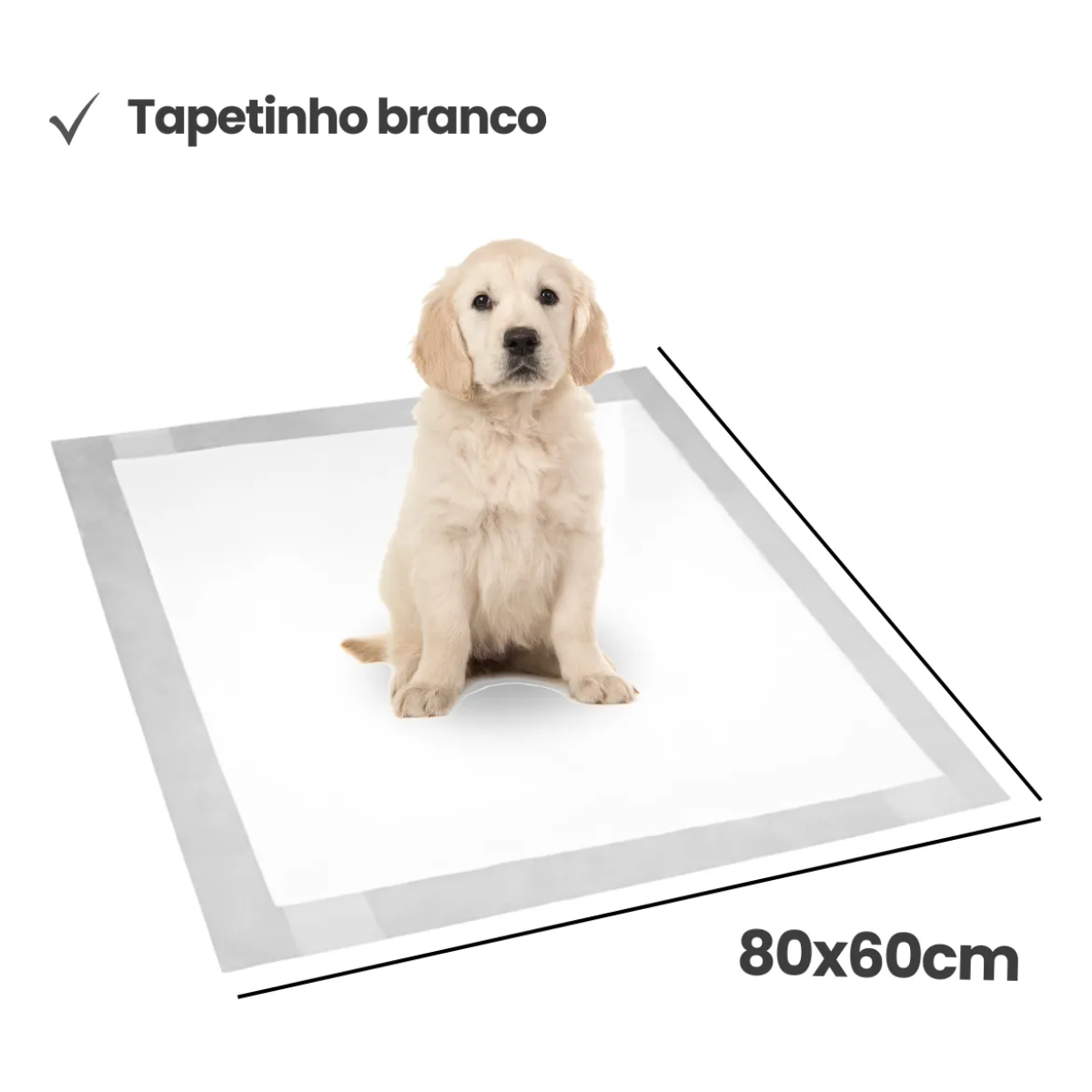 TAPETE HIGIENICO TAPETUDO PREMIUM 80 X 60 CM ABS PCT C/ 30 UN - Imagem 3