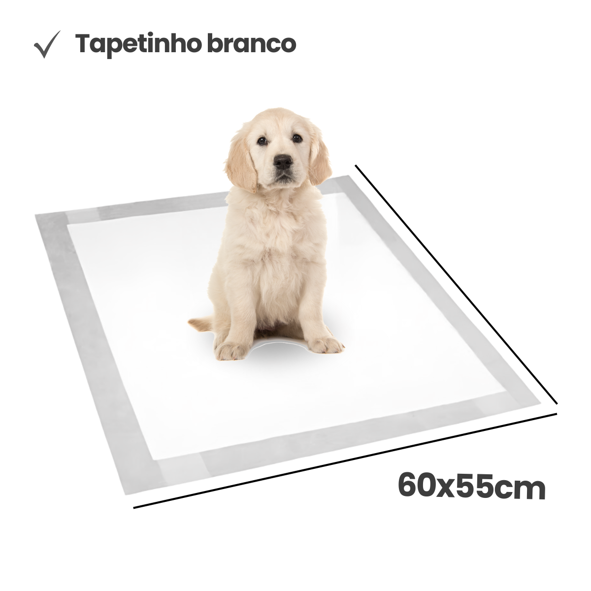 TAPETE HIGIENICO 60 X 55 CM SLIM PRIMEIRA LINHA ABS FARDO C/ 150 UN - Imagem 4